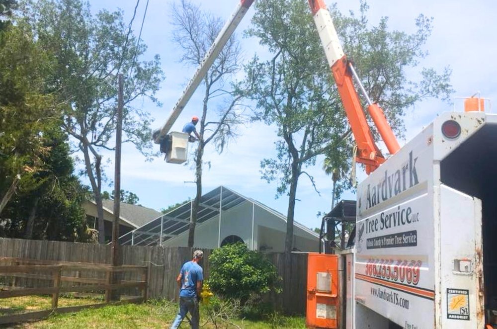 Crane services in progress