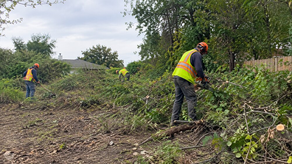 Underbrushing services in Volusia County